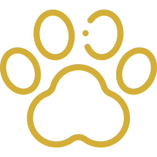 Kutyák és Macskák